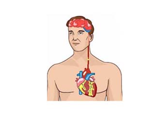 Cardiology disease